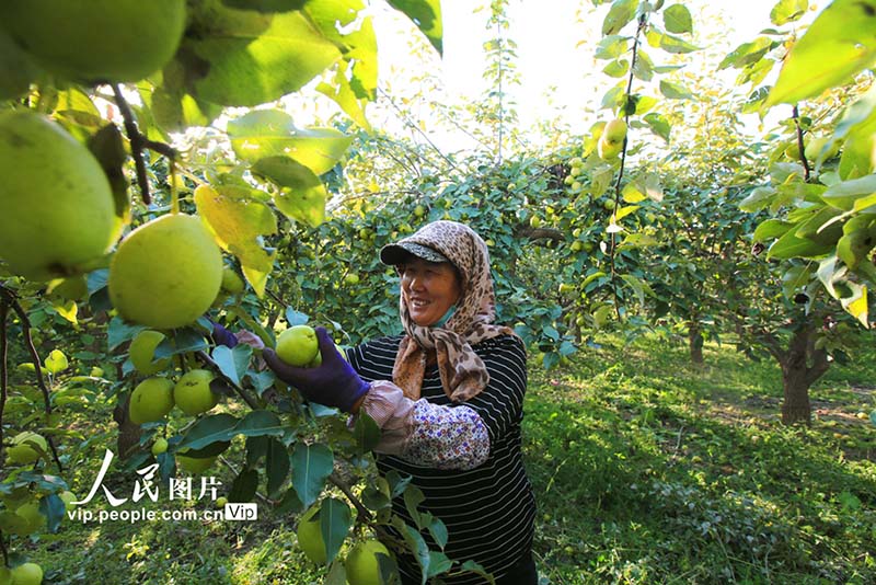 Jiayuguan, Gansu: Mapea yaiva na kwenda sokoni