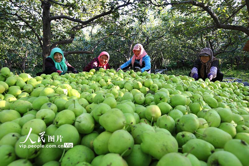 Jiayuguan, Gansu: Mapea yaiva na kwenda sokoni