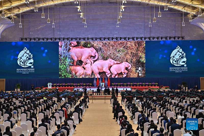 Mkutano wa COP15 wafunguliwa Kunming,  China ukiwa na kaulimbiu juu ya ustaarabu wa kiikolojia