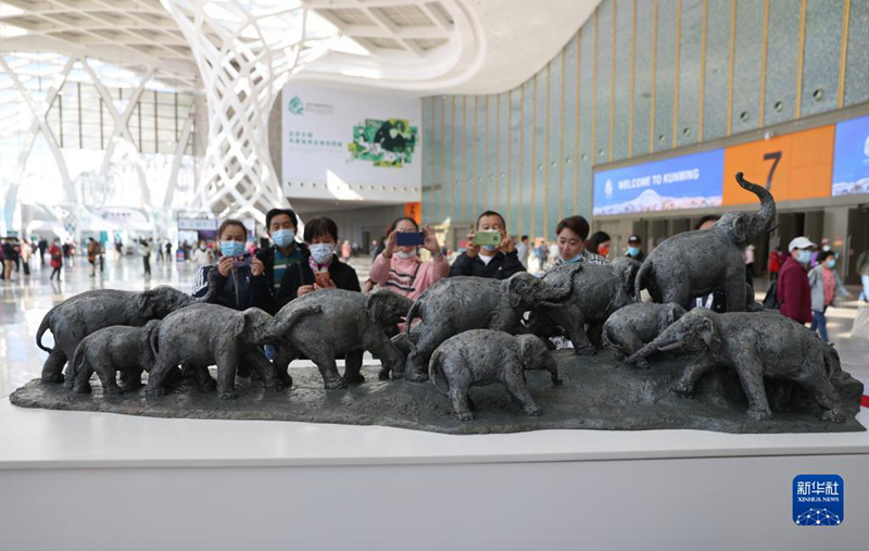 Kunming: Majumba ya COP15 yafunguliwa bure kwa watu kuanzia leo