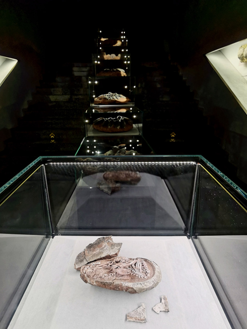 Kisukuku cha kiini cha mimba ya Dinosau cha kikamilifu zaidi Duniani Chagunduliwa nchini China