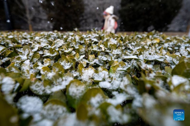 Picha: Mandhari ya Theluji ya Beijing