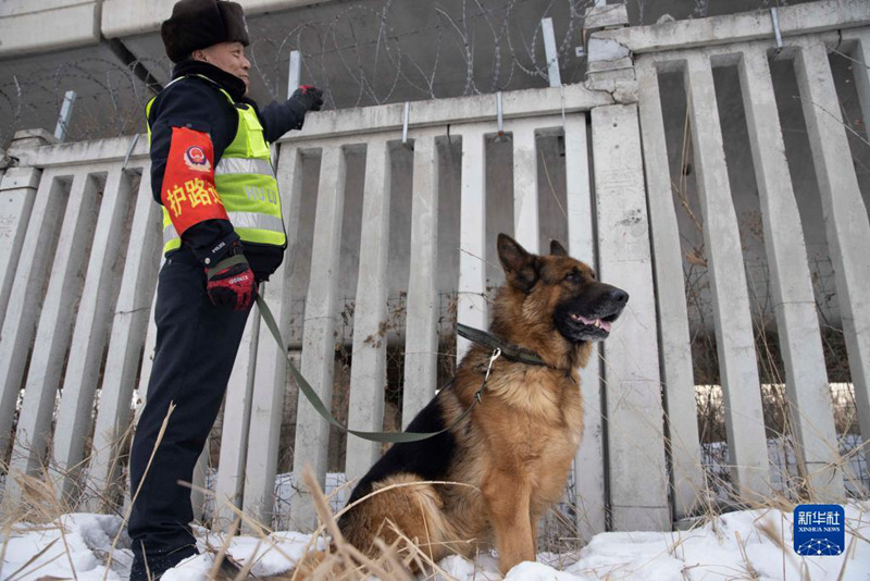 Pilikapilika za mwisho kwa Mbwa wa Doria “Hu Zi”