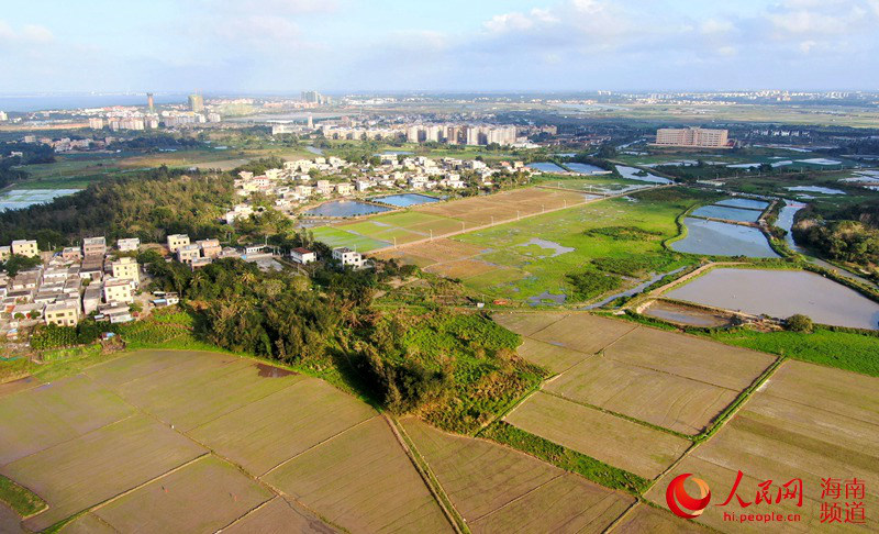 Haikou: Majira ya Mchipuko yaleta wakati mzuri wa kulima