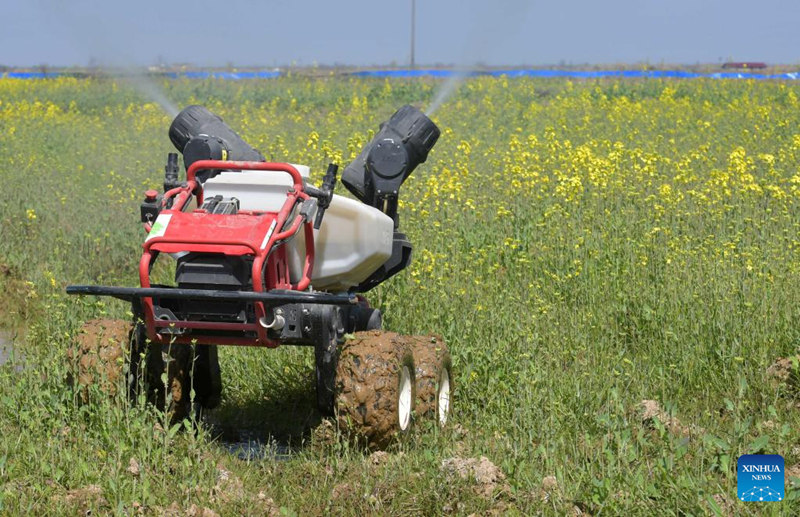 Mpango wa Kilimo cha Akili Waongeza ufanisi wa Uzalishaji wa Kilimo mkoani Jiangxi