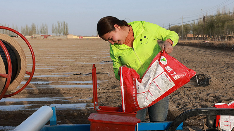 Kazi ya kupanda mbegu za pamba yaanza huko Xinjiang katika majira ya mchipuko