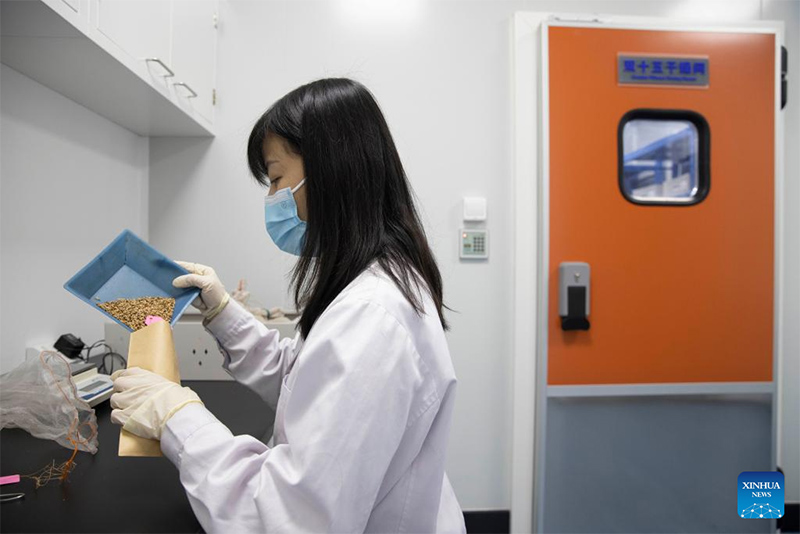 Ghala pekee ya China ya mbegu za mazao ya sehemu za baridi yakamilisha upanuzi wake mkoani Heilongjiang