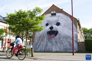 Mapambo ya rangi ya Mji wa Ostend, Ubelgiji