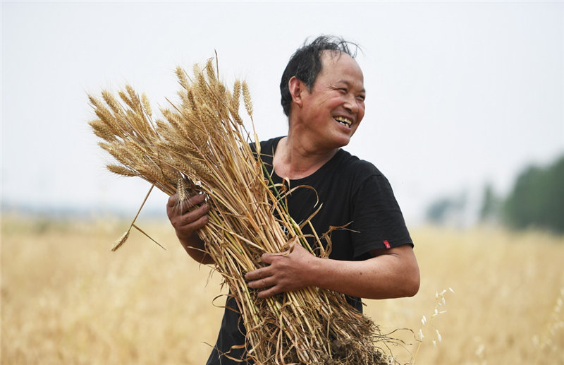 Ghala la nafaka katikati mwa China lakaribishwa mavuno ya ngano