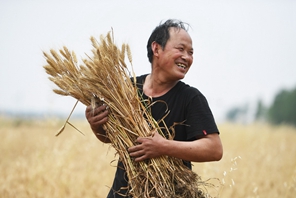 Ghala la nafaka katikati mwa China lakaribishwa mavuno ya ngano