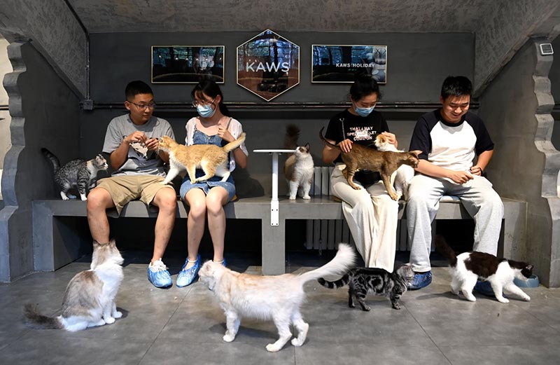 Mahali pa Kiwanda cha zamani mjini Xi’an paonekana nguvu mpya ya uhai ya kiuchumi