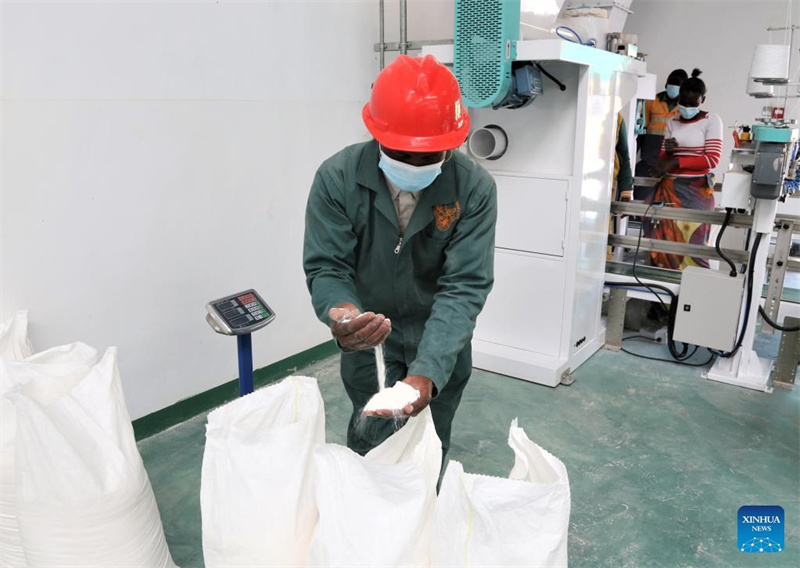 Zambia yazindua mitambo ya kusaga nafaka iliyotolewa msaada na China
