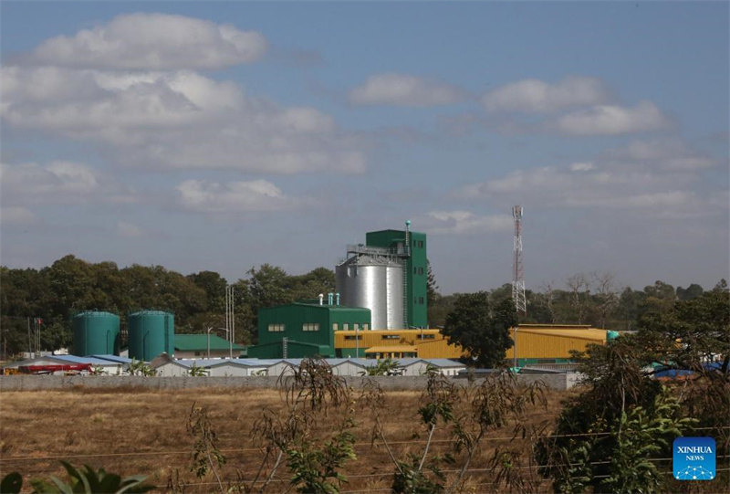 Zambia yazindua mitambo ya kusaga nafaka iliyotolewa msaada na China