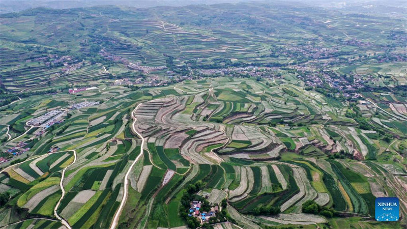 Katika Picha: Mashamba ya Majiyuan huko Gansu, China 