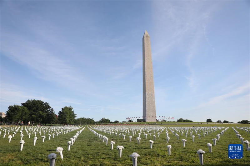 Picha hii iliyopigwa Juni 6 ikionesha maua ya hariri karibu na Mnara wa Washington wa Marekani.