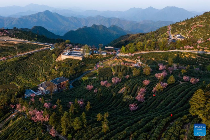 Mkoa wa Zhejiang nchini China wafanya jitihada za kufikia ustawi wa pamoja wa watu wote