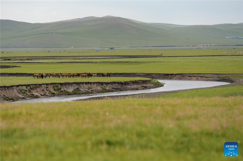 Mandhari kando ya Mto Mergel Gol huko Hulun Buir, Mongolia ya Ndani nchini China