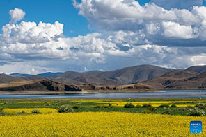 Mandhari ya Ziwa Yamdrok katika Mji wa Shannan, Mkoa wa Tibet, China