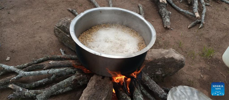 Makala: Wakulima wa Tanzania wayapenda maziwa ya soya ya China