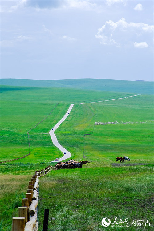 Mandhari nzuri kama picha iliyochorwa ya Mbuga wa Hulunbuir wa Mongolia ya Ndani katika majira ya joto