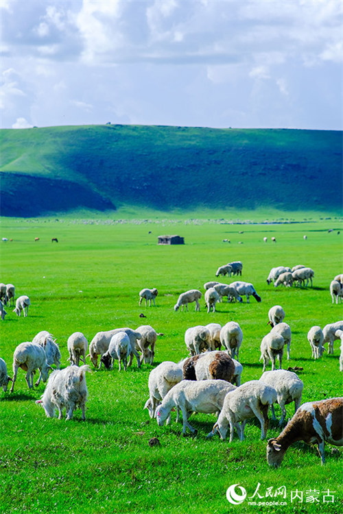 Mandhari nzuri kama picha iliyochorwa ya Mbuga wa Hulunbuir wa Mongolia ya Ndani katika majira ya joto