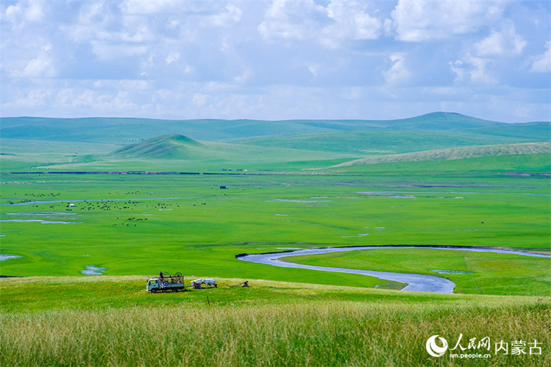 Mandhari nzuri kama picha iliyochorwa ya Mbuga wa Hulunbuir wa Mongolia ya Ndani katika majira ya joto