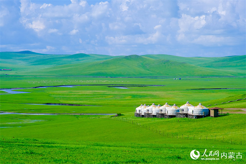 Mandhari nzuri kama picha iliyochorwa ya Mbuga wa Hulunbuir wa Mongolia ya Ndani katika majira ya joto