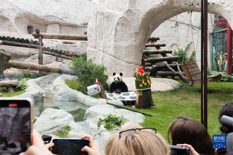 Julai 31, watu wakitazama panda “Dingding” katika Moscow, mji mkuu wa Russia.