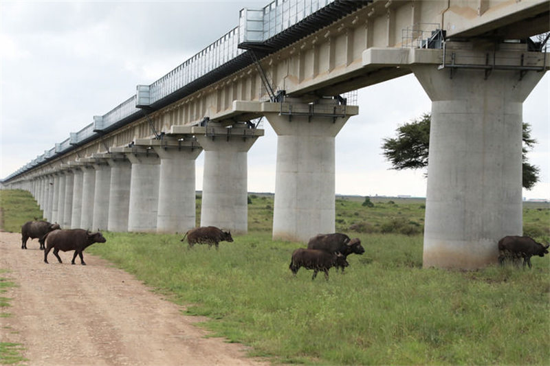 Miaka mitano baada ya kuzinduliwa kwa Reli ya Mombasa-Nairobi—— njia ya reli inayolinda mazingira ya asili