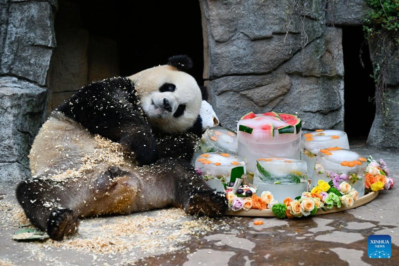 Hatua mpya za kupunguza hali joto kwa ajili ya panda wa Sichuan