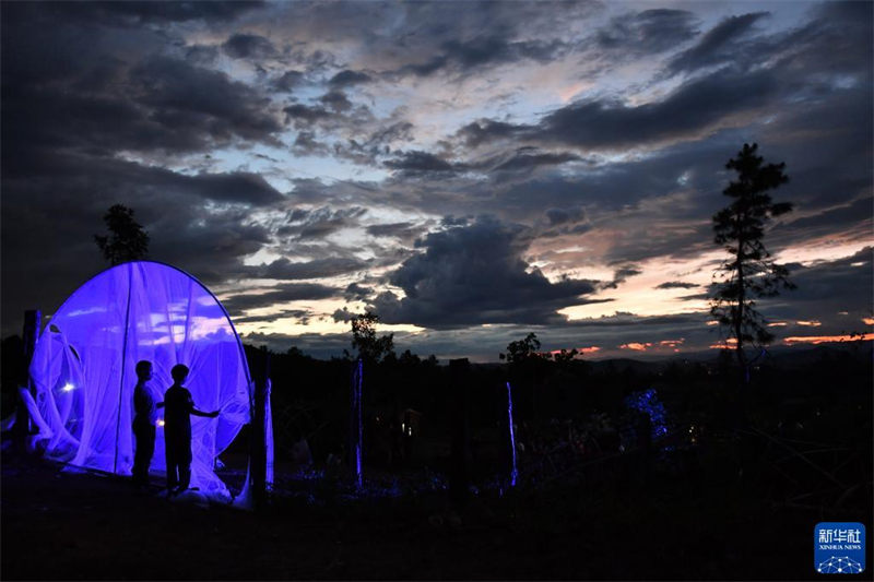 Maonesho ya michezo ya sanaa ya watoto wanaoishi sehemu ya milimani