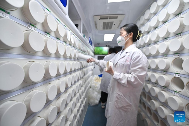 Dawa za Mitishamba za China zatumiwa kupambana na UVIKO-19 huko Sanya