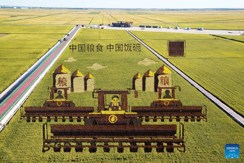 Teknolojia za kisasa za habari zatumika kwa kilimo katika Mkoa wa Heilongjiang, nchini China