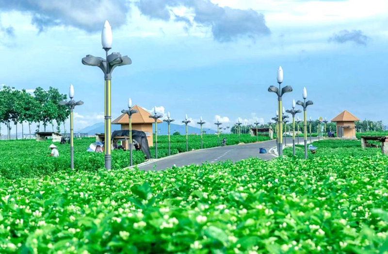 Hengzhou, Guangxi: Maua yaleta ustawi kwa mji