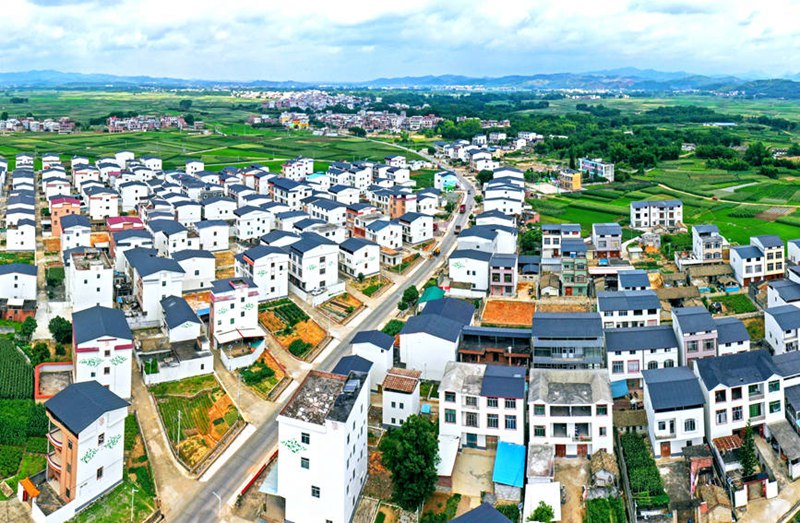 Hengzhou, Guangxi: Maua yaleta ustawi kwa mji