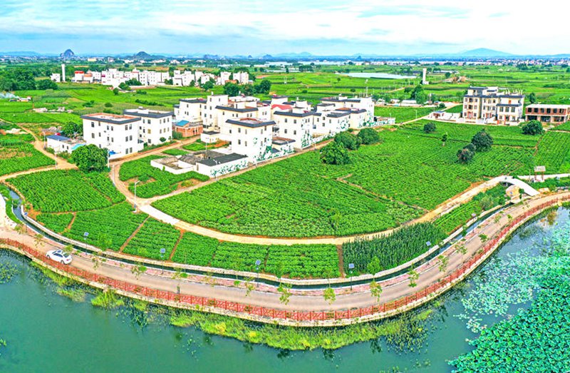 Hengzhou, Guangxi: Maua yaleta ustawi kwa mji