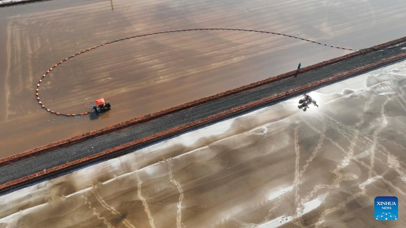 Picha: Mavuno ya Chumvi huko Tangshan, China