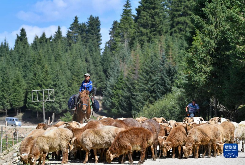 Barabara za Xinjiang zaongezeka kwa kilomita elfu 62.2 katika mwongo uliopita