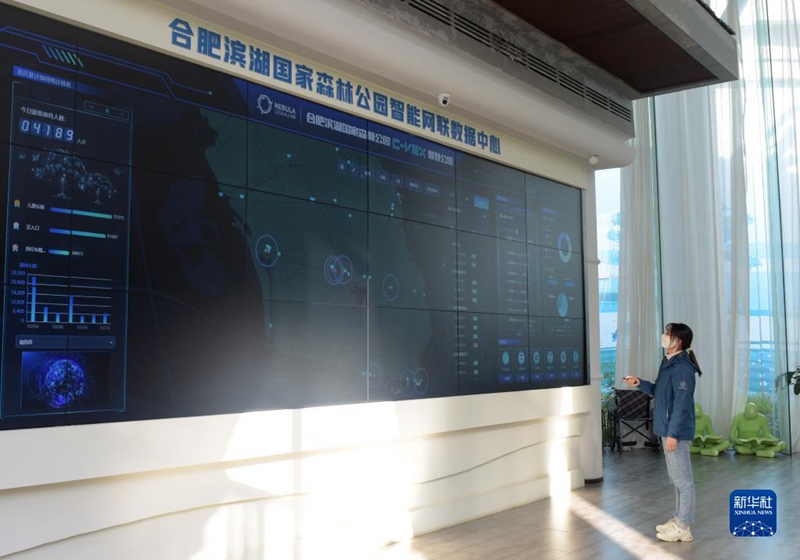 Magari yanayojiendesha kwa akili bandia yahudumia eneo la vivutio vya utalii