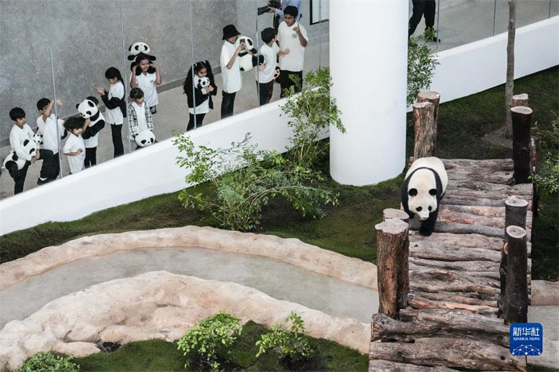 Jumba la Panda la Qatar  lafunguliwa rasmi kwa umma