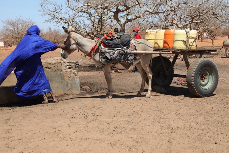 Visima vinavyotumia nishati ya jua vinavyofadhiliwa na China vyasaidia kukabiliana na msongo wa maji katika ardhi kame nchini Kenya