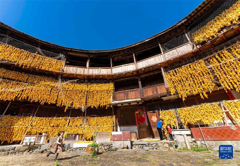 Mavuno ya mahindi yawezesha majengo ya jadi kuwa majengo ya “dhahabu” huko Nanjing, Fujian