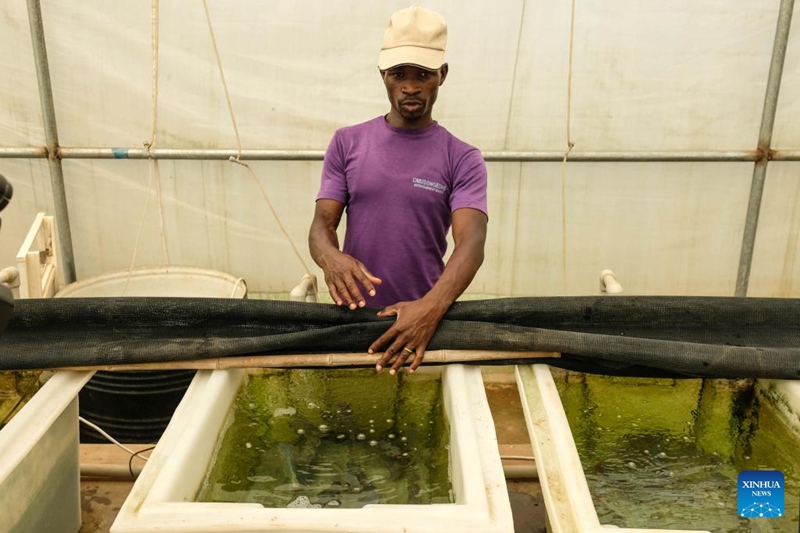 China yapiga hatua kuharakisha uzalishaji wa kilimo nchini Uganda