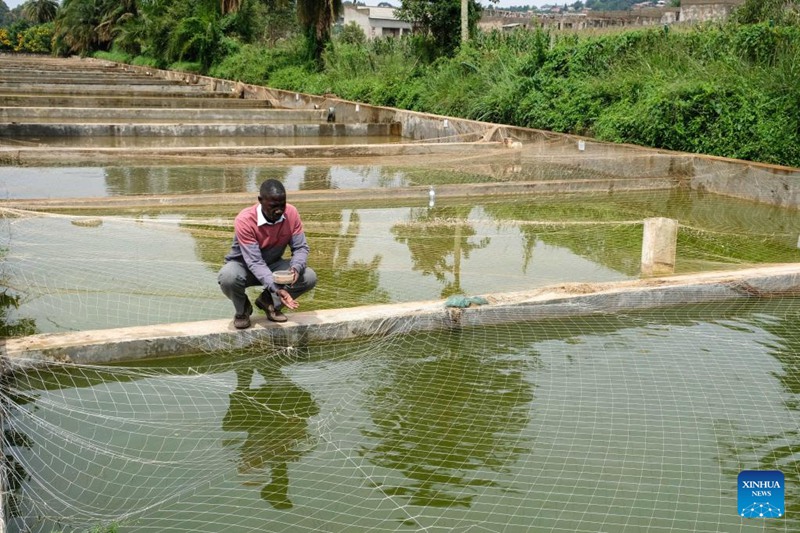 China yapiga hatua kuharakisha uzalishaji wa kilimo nchini Uganda