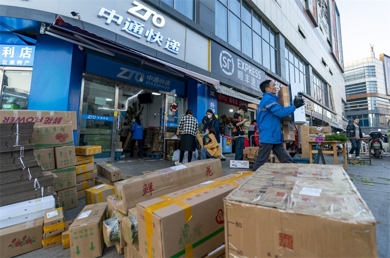 Wafanyakazi wa kampuni za utoaji wa huduma za usambazaji wa vifurushi wakifanya kazi kwenye Soko la Maua la Kunming Dounan, Mkoa wa Yunnan, Kusini-Magharibi mwa China, Januari 31, 2023. (Xinhua/Chen Xinbo)