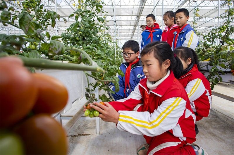 Darasa maalum katika Mji wa Hukou, Jiangxi lafanya masomo ya sayansi kuwa vitendo zaidi