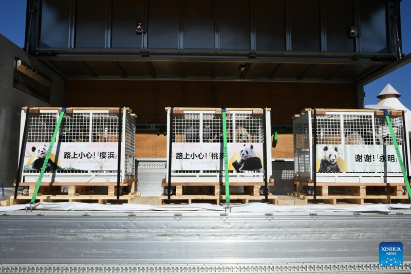 Wajapan wawaaga kwa kuwapungia mkono wa kwaheri panda wengine watatu wanaorejea China