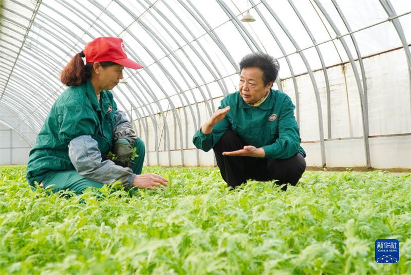 Mjumbe wa Bunge la Umma la China awa  “injini muhimu” na kuingiza nguvu mpya katika kustawisha vijiji  