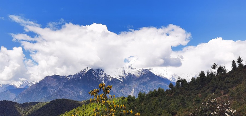 Picha iliyopigwa kwa simu ya mkononi Tarehe 15 Mei 2021 ikionyesha mandhari ya eneo la Gyironggou katika Wilaya ya Gyirong, Mkoa unaojiendesha wa Tibet, Kusini-Magharibi mwa China. (Xinhua/Shen Hongbing)