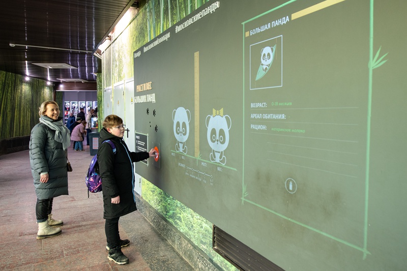 Panda wapendwa waliopo Russia wavutia watalii wengi mfululizo